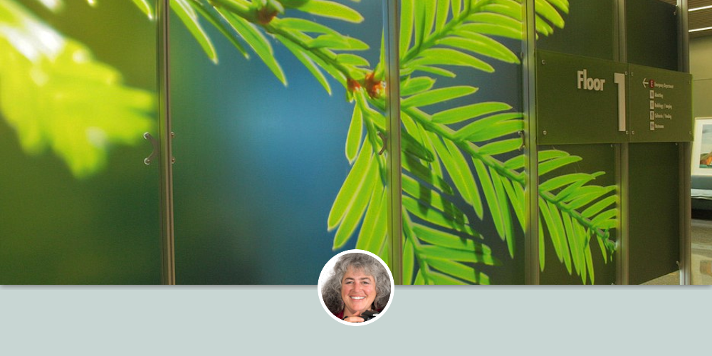 Redwood Needles by The WinterBadger Collection at Kaiser Permanente