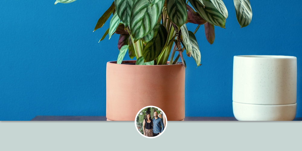 Franklin 12 Ceramic Self Watering Pot by Greenery Unlimited at Greenery