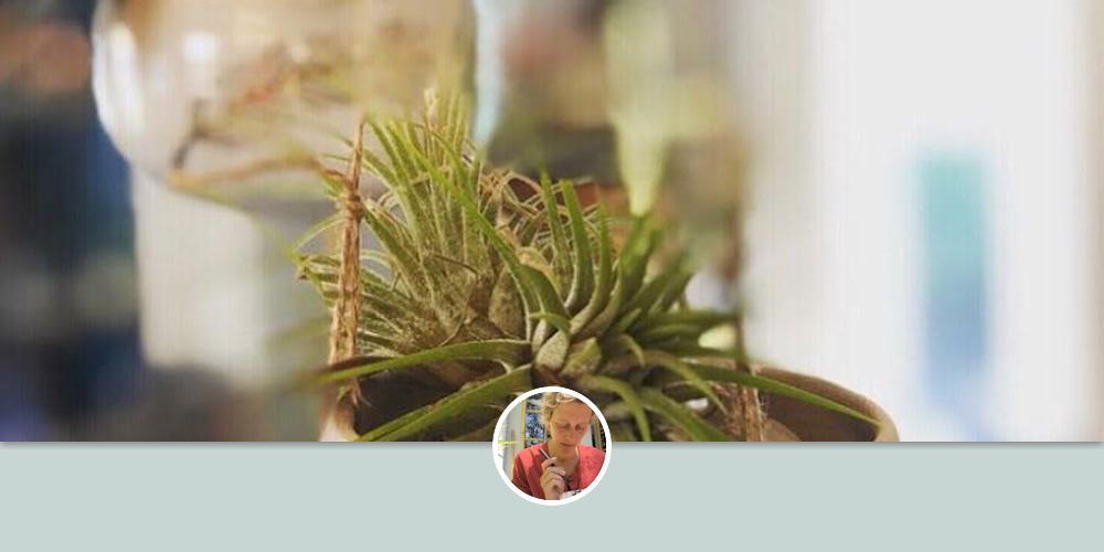 Hanging Planter by Pickle Pottery at The Kitchen Table, Quality Goods