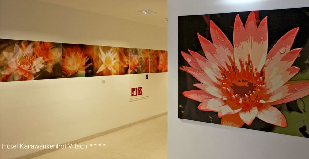 Rica Belna - Modern, Floral Hallways | Prints by Rica Belna | Thermenhotel Karawankenhof in Villach