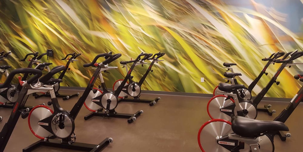 Large-Format Grasses for Group Cycle | Prints by Rica Belna | NorthBay HealthSpring Fitness in Vacaville