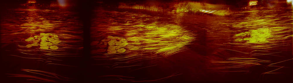 Pond Lilies 12x 42inches | Photography by Eric Farache Artist