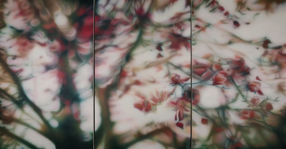 "So The Sun Shines Upon Me" | Paintings by Laura Wood