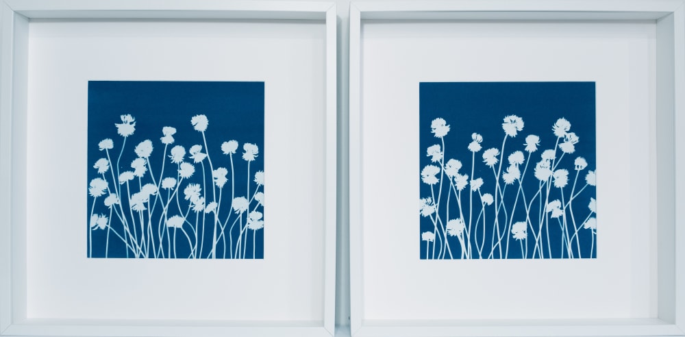 Spring Clover Diptych (Two 12 x 12" handmade cyanotypes) | Photography by Christine So