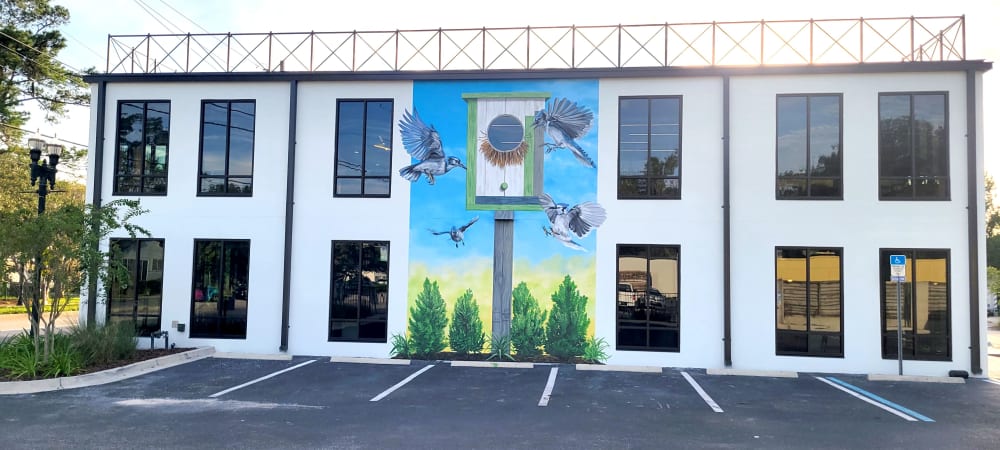 The Bird House | Murals by Keith Doles | Vestcor in Jacksonville