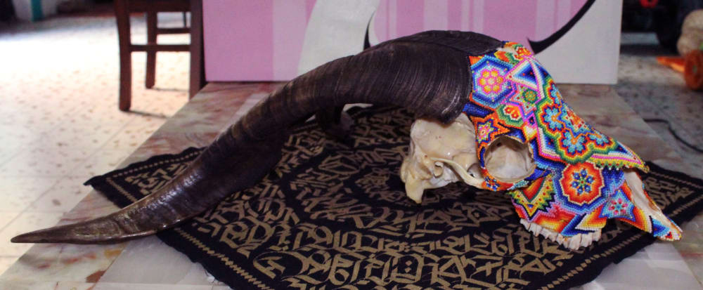 CRANEO DE CHIVO, ARTESANIA | Sculptures by Frase Honghikuri