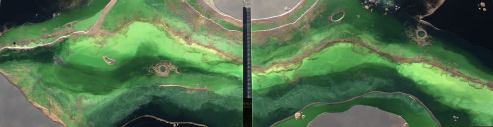 Eternal Garden | Oil And Acrylic Painting in Paintings by Art By Skevi