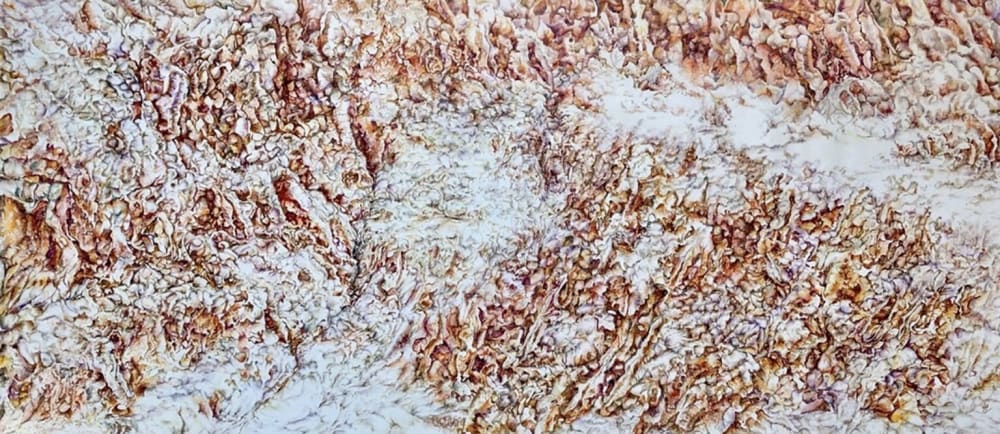 ‘Sahara’ | Paintings by Sangeeta Sagar