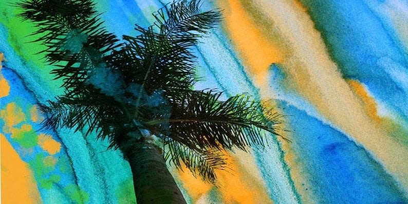 California Sunset | Paintings by Irena Orlov