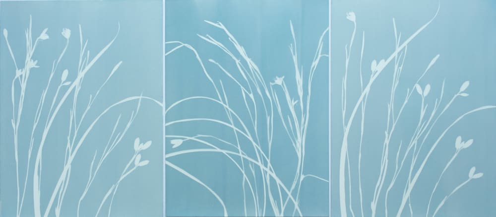 Foggy Iris Triptych (3 original 24 x 18" gray cyanotypes) | Etching in Paintings by Christine So