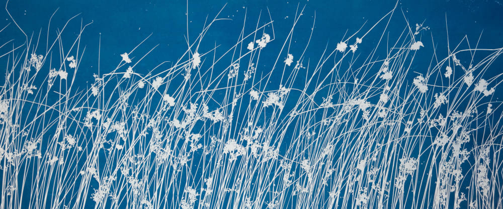 Wind in the Marsh I: unframed 24 x 60" cyanotype/ monotype | Photography by Christine So | Higginbotham Associates Inc in Houston