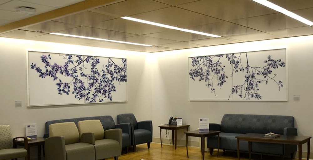 Commissioned Paintings and Ceiling Treatments | Paintings by Jackie Battenfield | NYU Langone Medical Center in New York