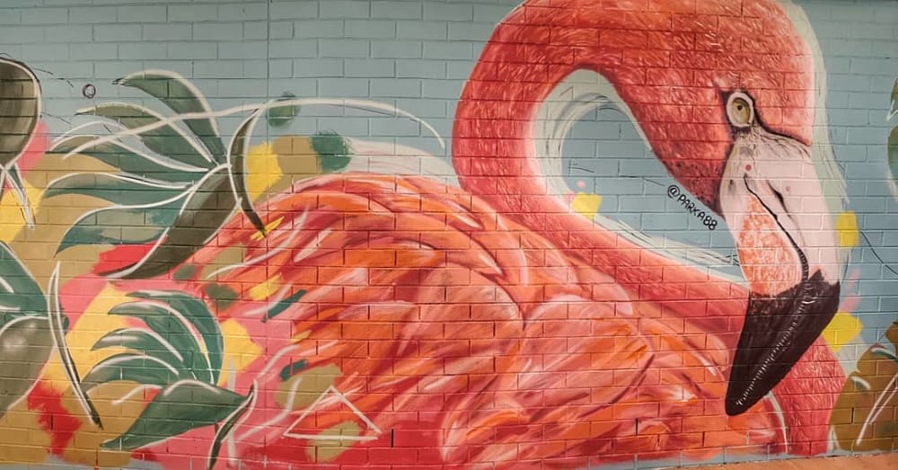 murals (flamingo) | Street Murals by Emma-Alyce Art | Princess Alexandra Hospital in Woolloongabba