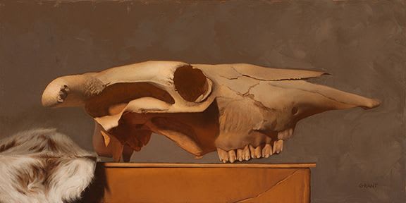 Cow Skull with Cow Hide | Paintings by Danny Grant Fine Art