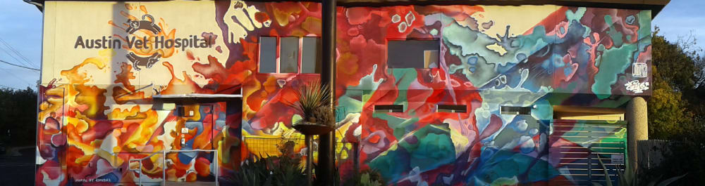 Splash | Murals by J MUZACZ | Austin Vet Hospital in Austin