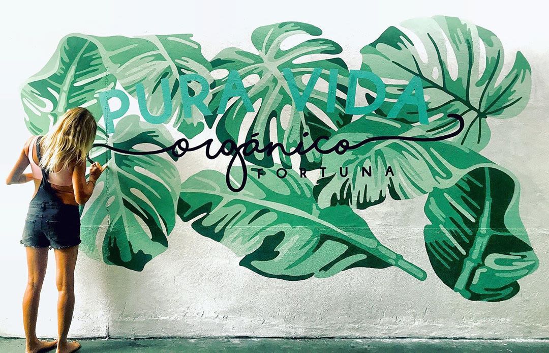 Porte-plante original mural - La Monstera