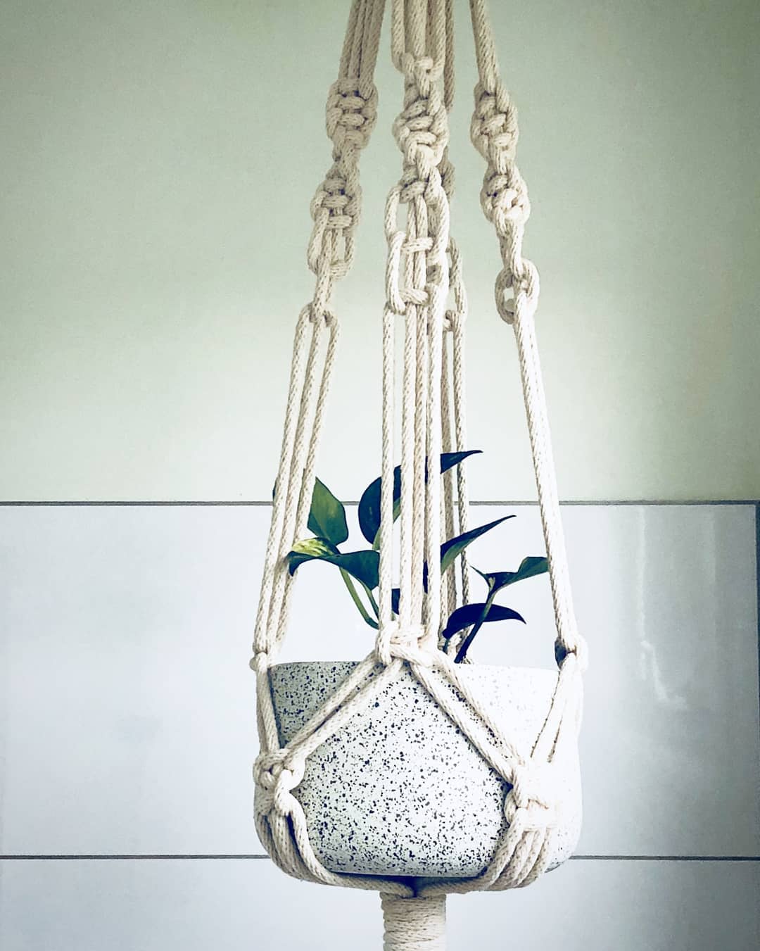 Macrame woven plant hanger with potted plant