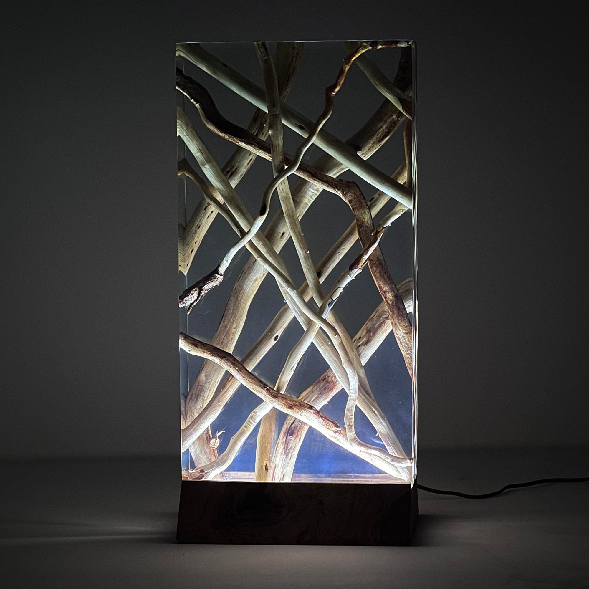 Wood and on sale resin lamps