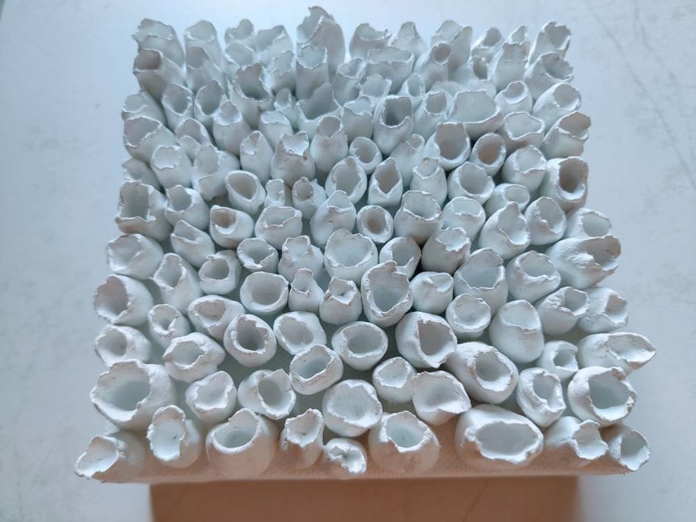 Coral wall art, white clay wall sculpture, 3D artwork by Art By