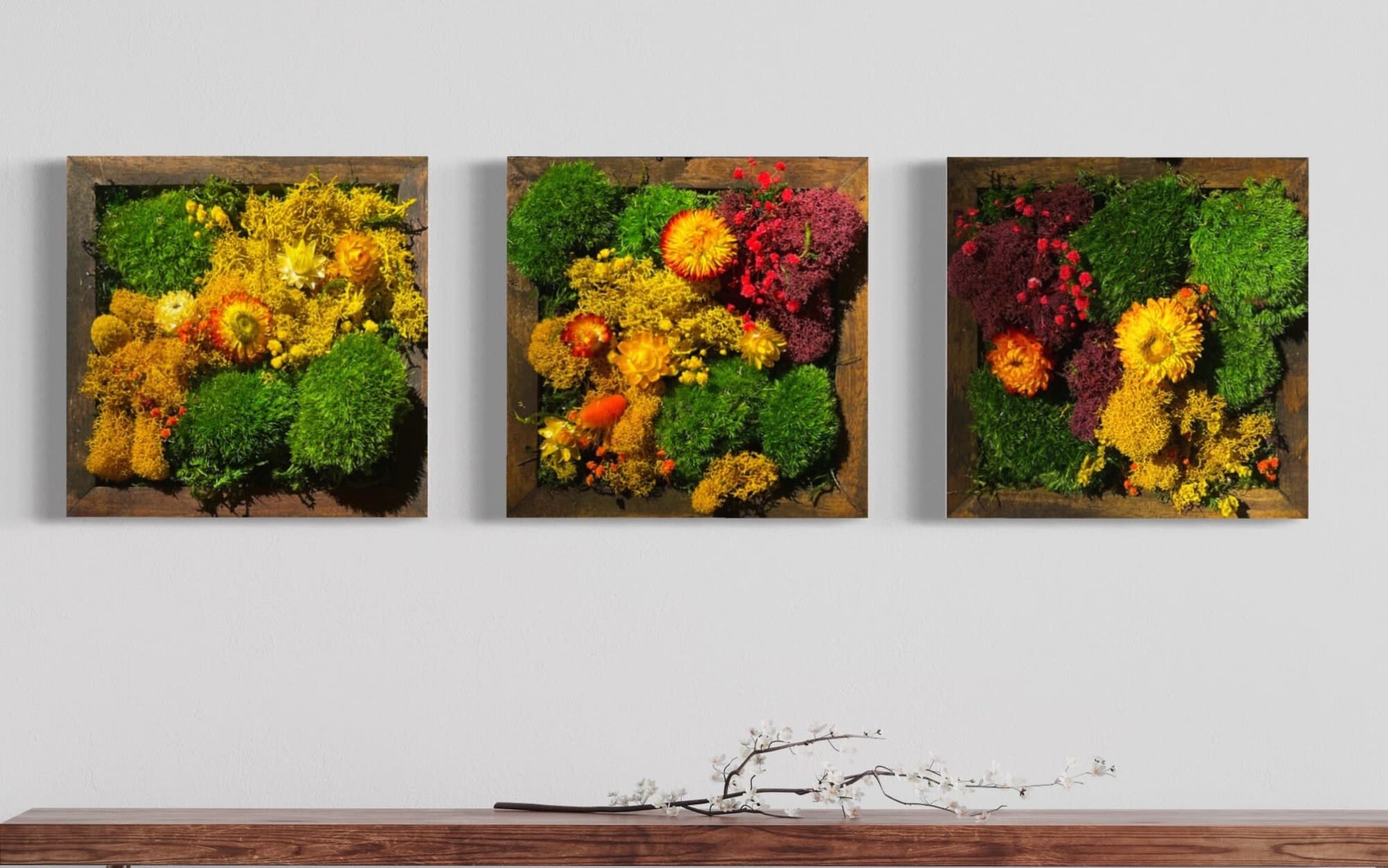 Framed Moss Wall Art Set Botanical Living Walls Sculpture by Sarah  Montgomery