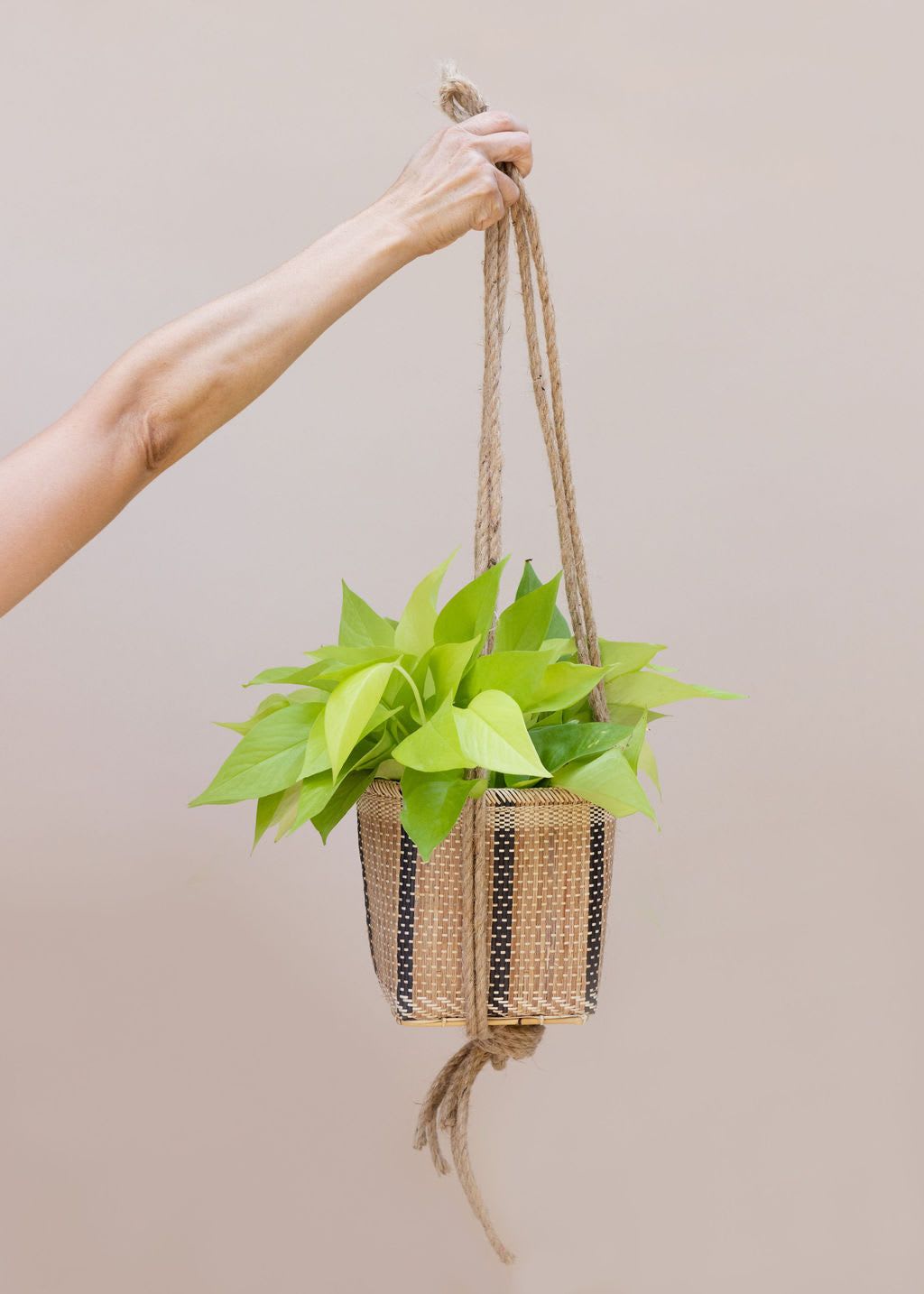 NEEPA HUT: Storage Rattan Planter Basket