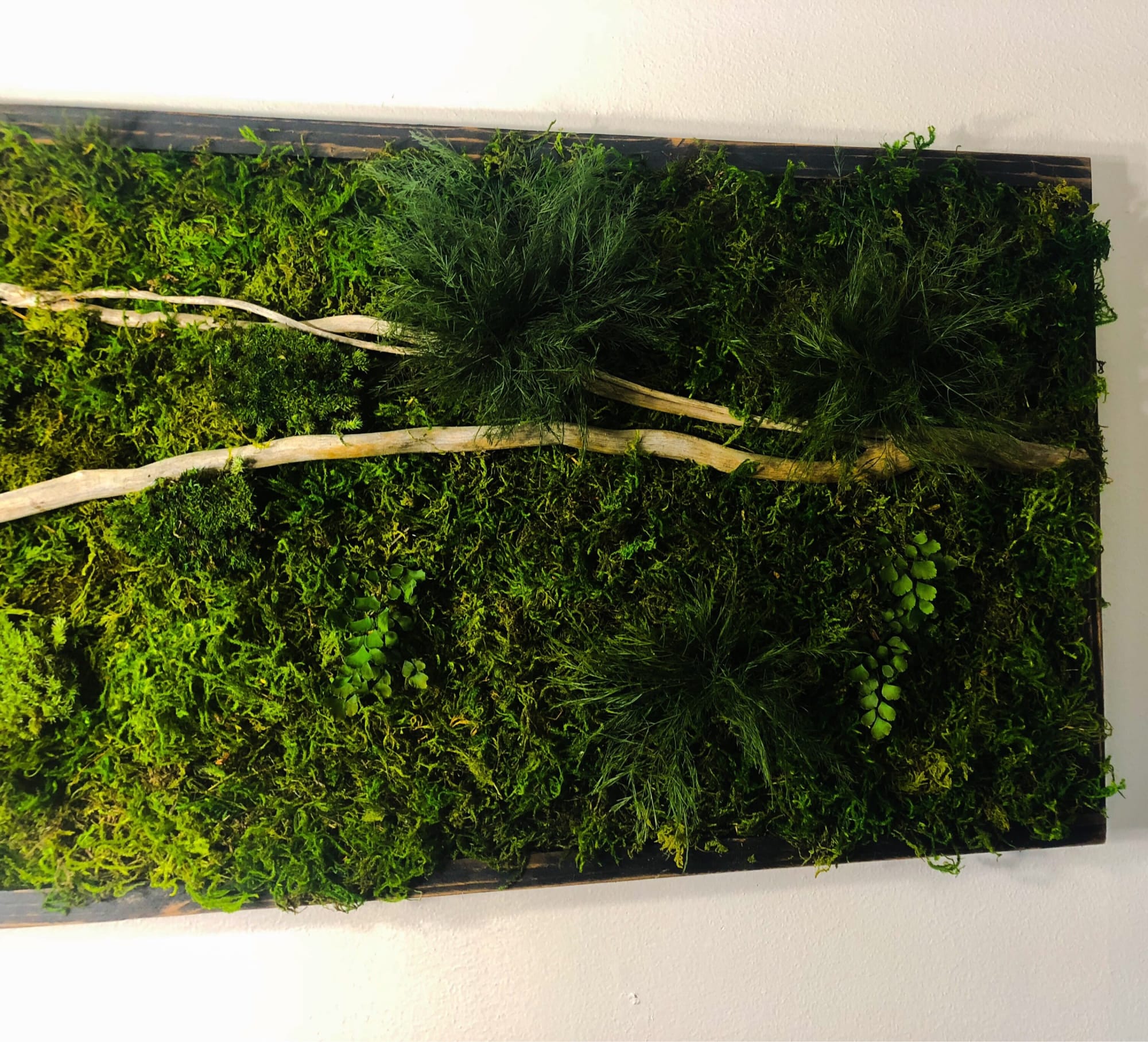 Framed Moss Wall Art Set Botanical Living Walls Sculpture by Sarah  Montgomery