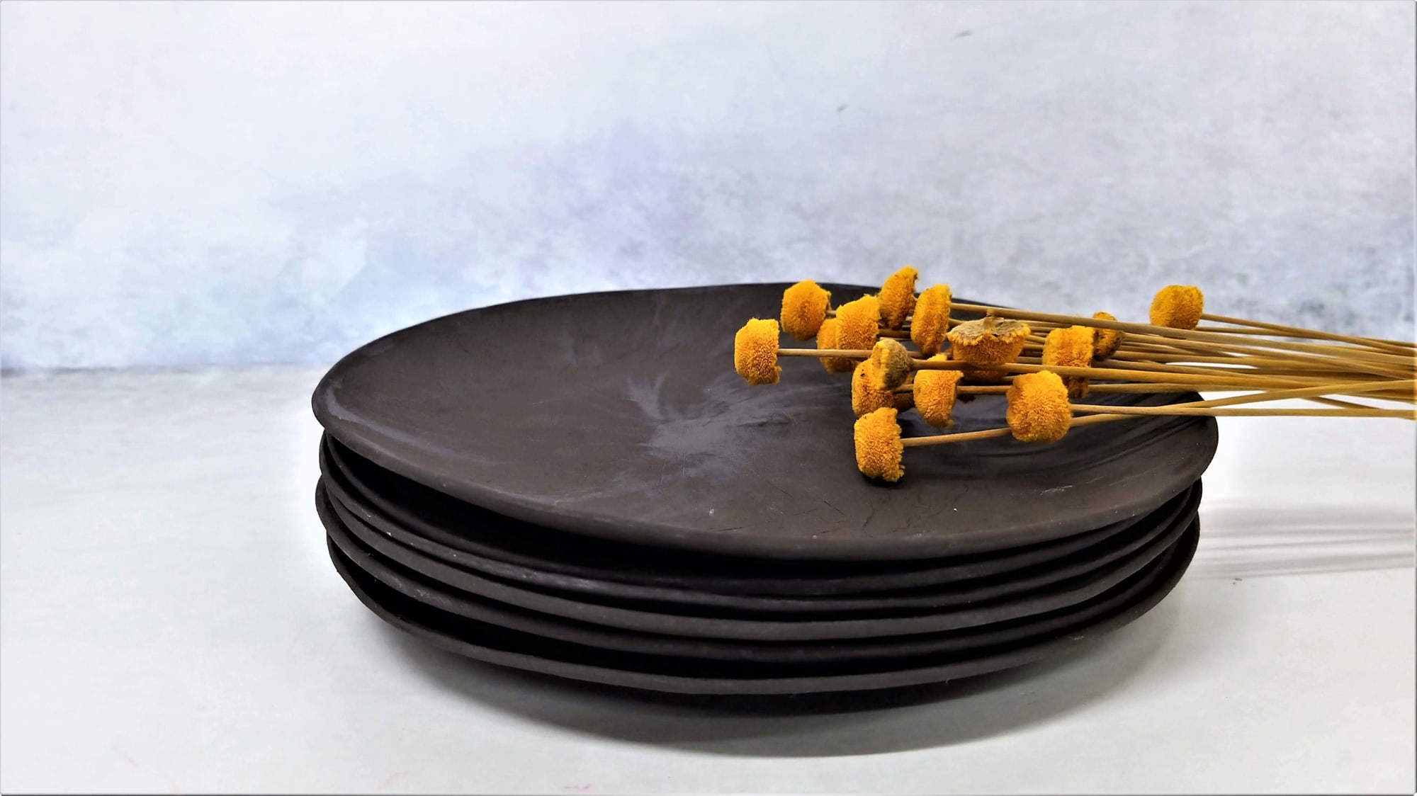 Black ceramic outlet dinner plates