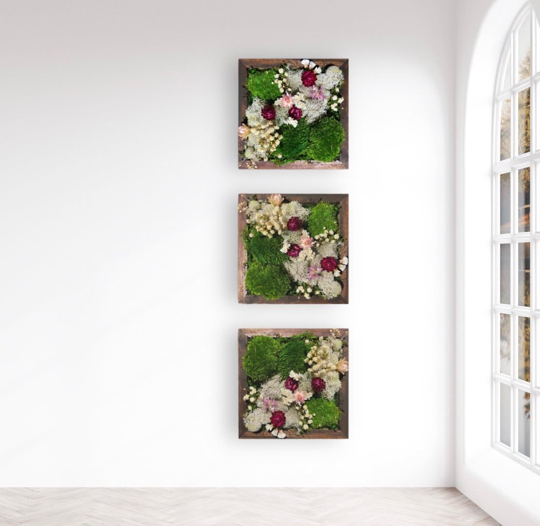 Organic Modern Art, Dried Flower Art Preserved Moss Wall by Sarah Montgomery