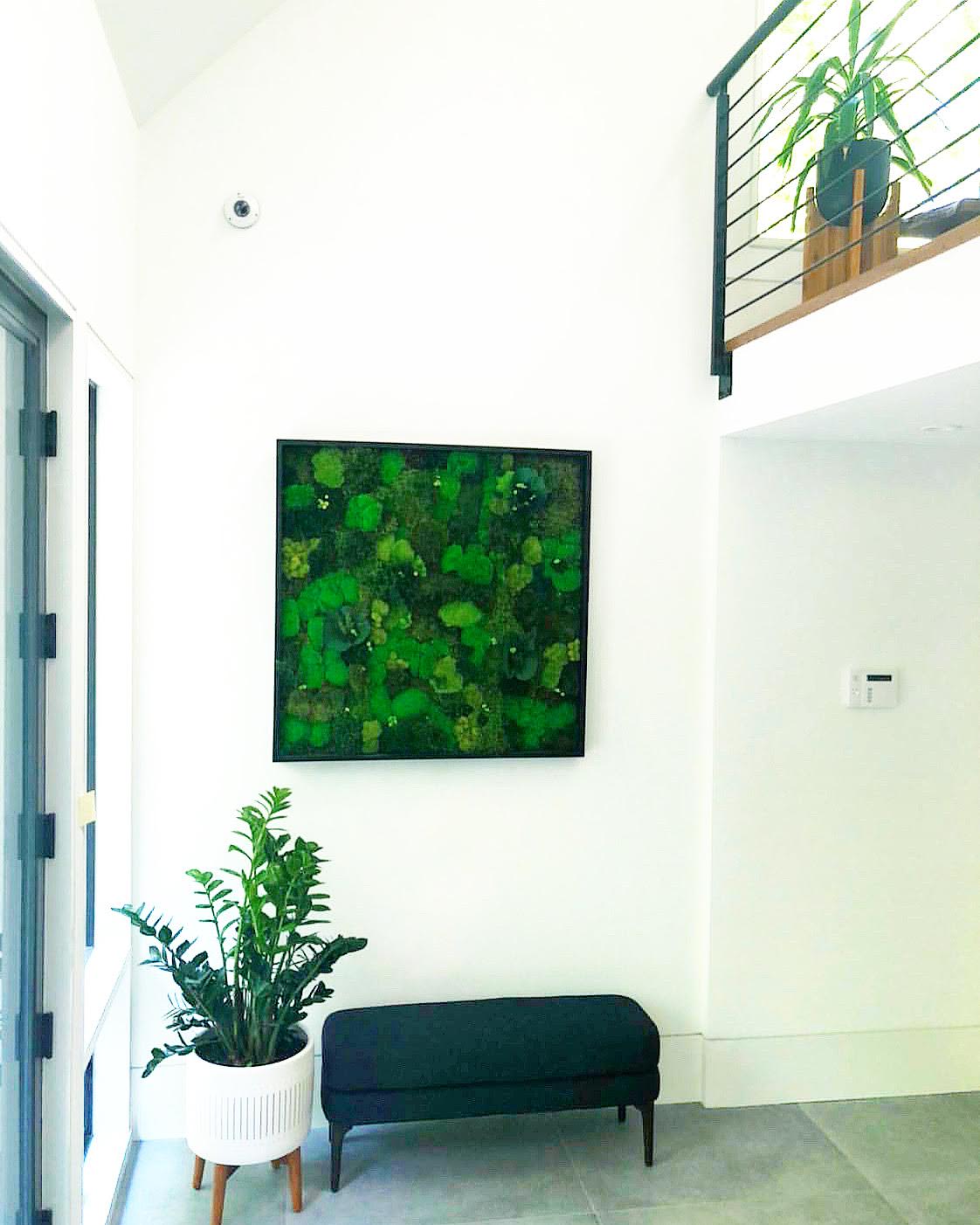 indoor moss wall on Custom Moss Wall Art By Mossboss Nyc Seen At Private Residence Wescover