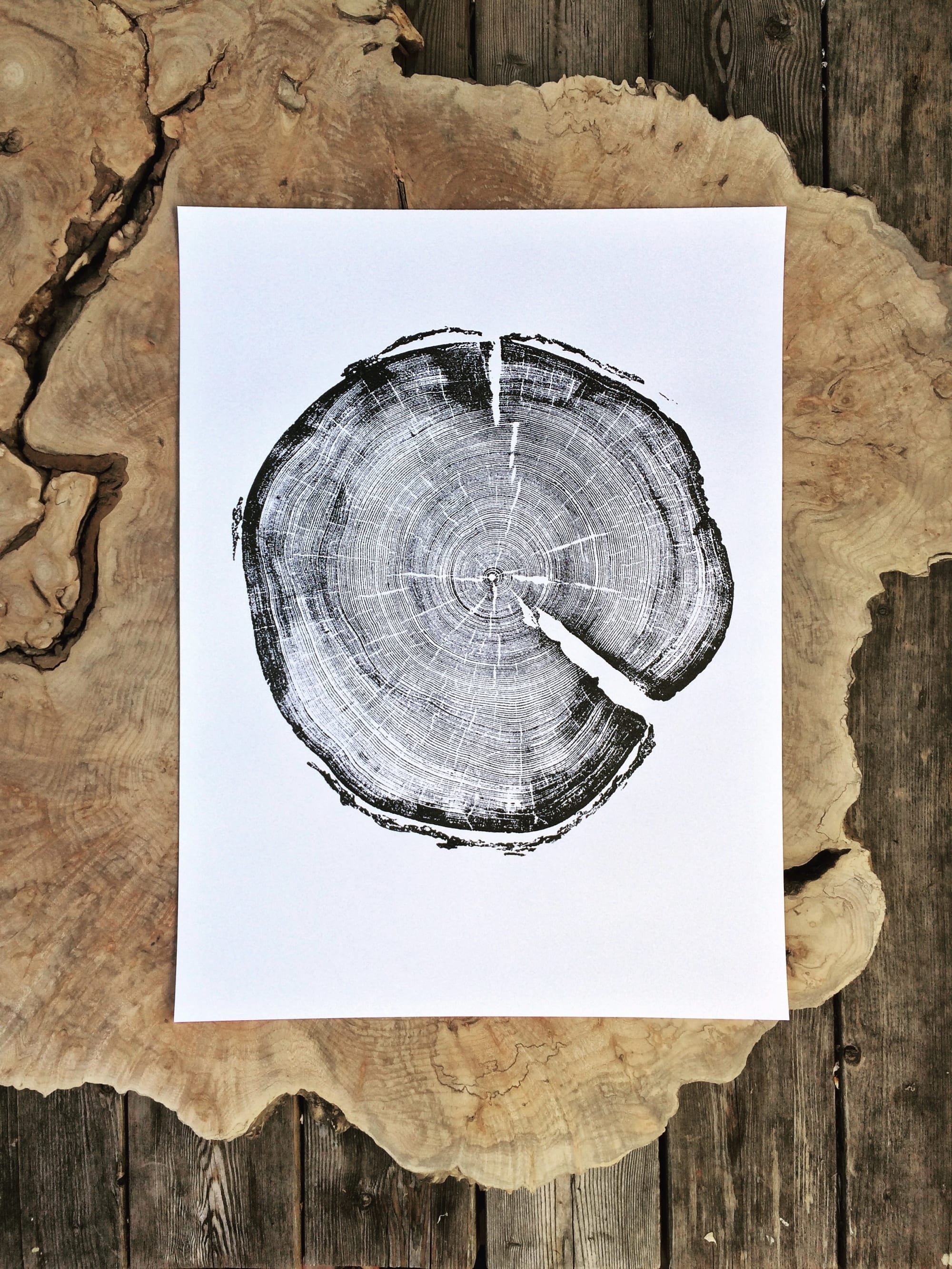 Ohio Locust Tree, Tree ring print, Woodcut print, Tree ring print, Handmade print, Tree stamp ...