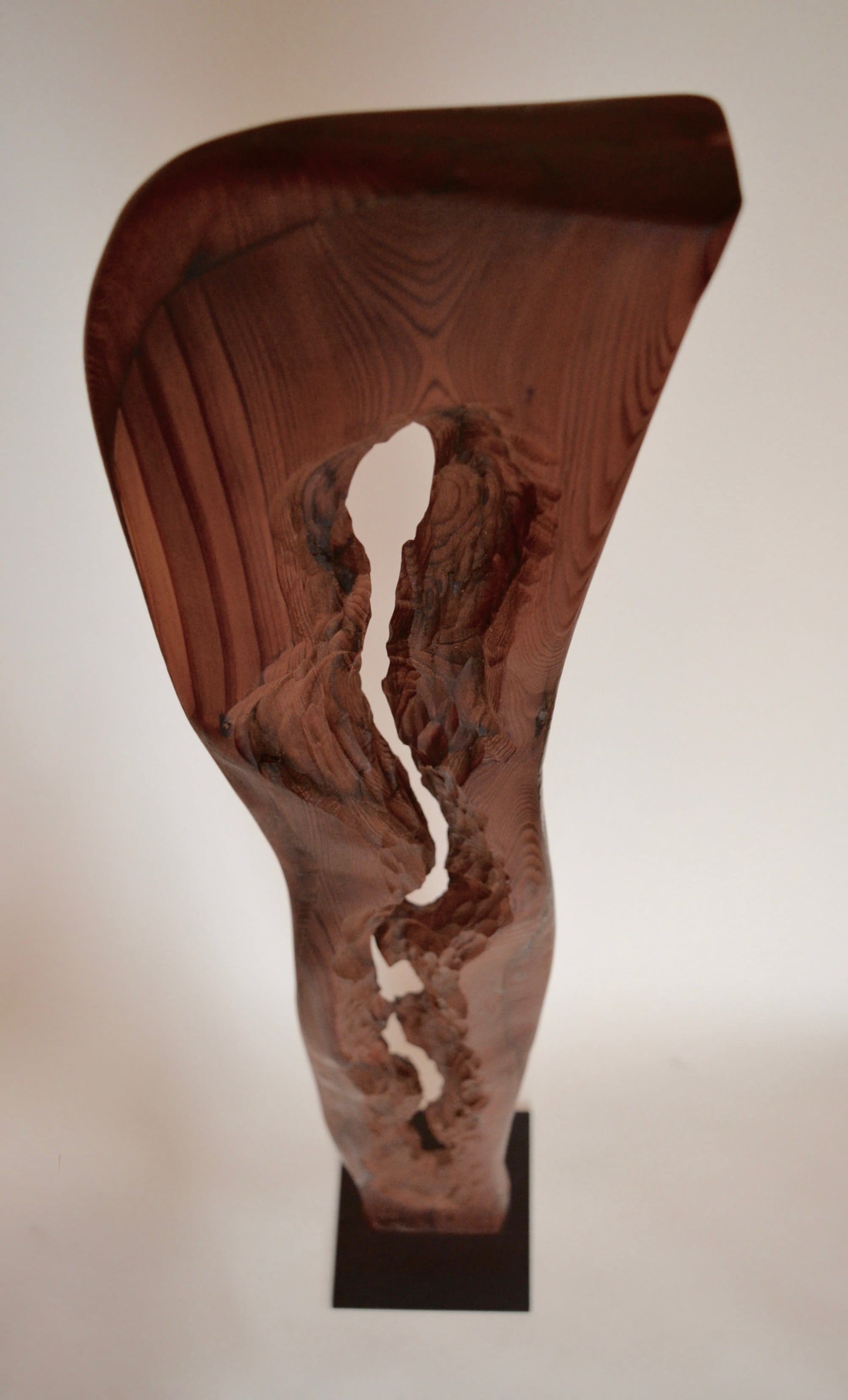 Modern Wood Sculpture by Lutz Hornischer - Sculptures & Wood Art