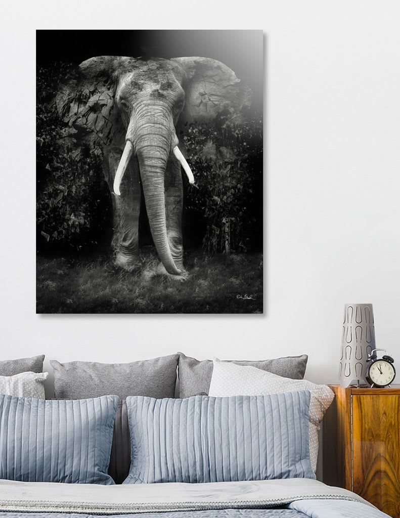 The Disappearance of the Elephant by Erik Brede Photography & Digital ...