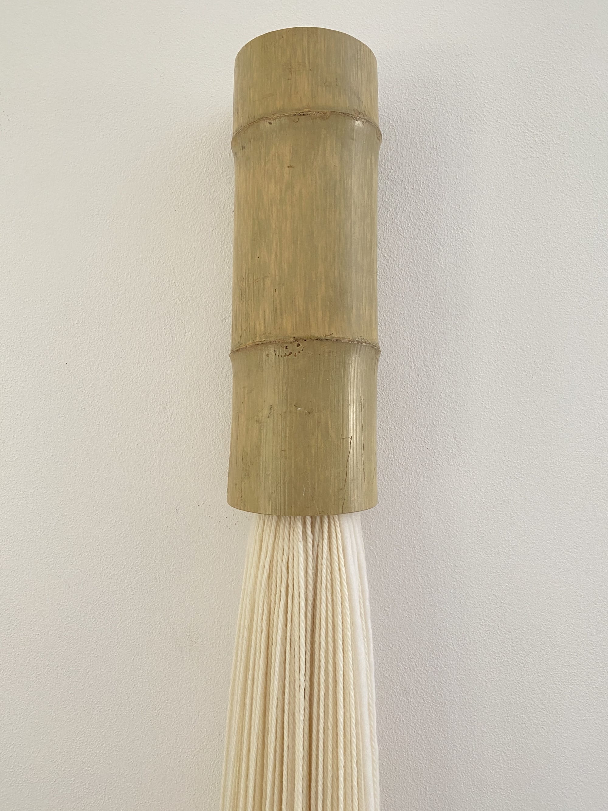 Single tassel hanging on the wall by Olivia Fiber Art | Wescover