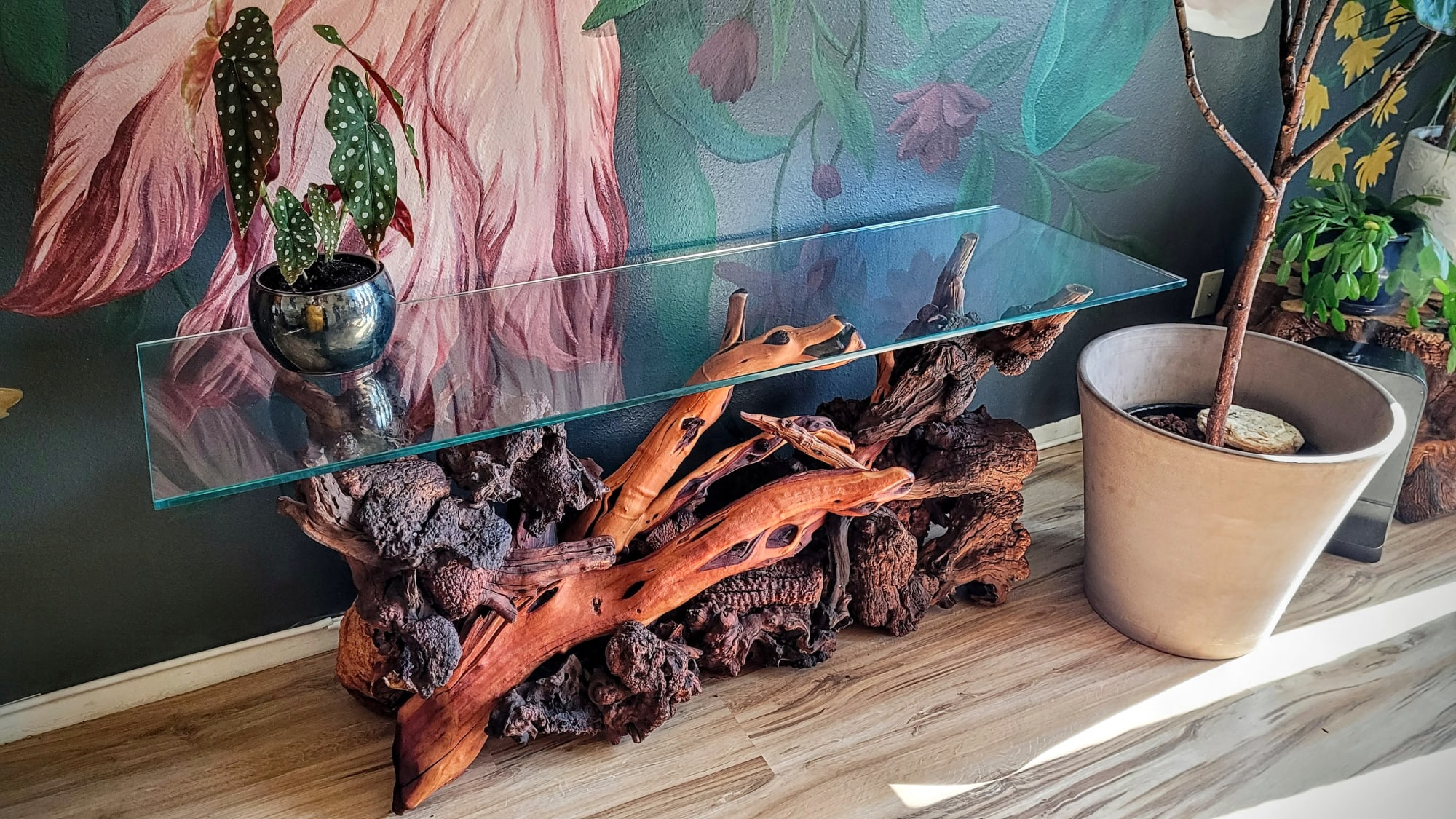 Manzanita Driftwood Root Console Entry Table w/ Glass Top by