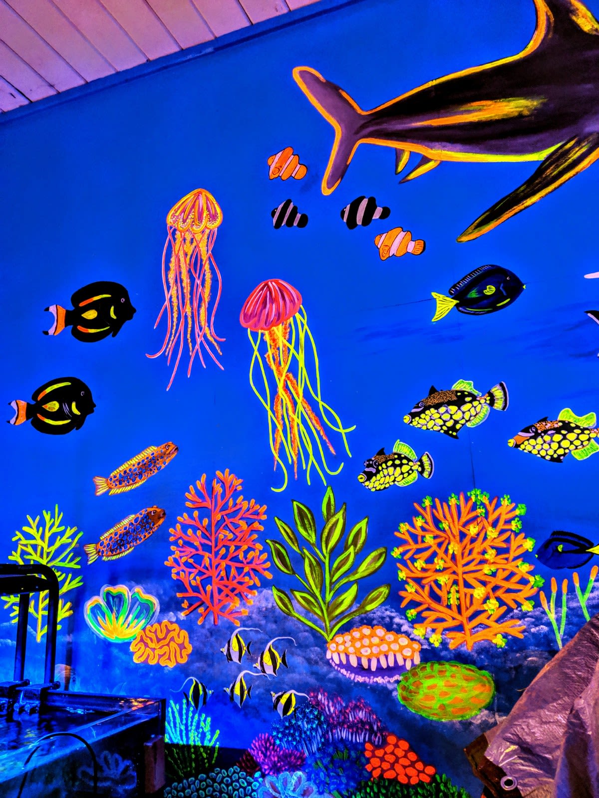 Underwater Sea Mural by Phunky Artz seen at Palmetto Reef, West 