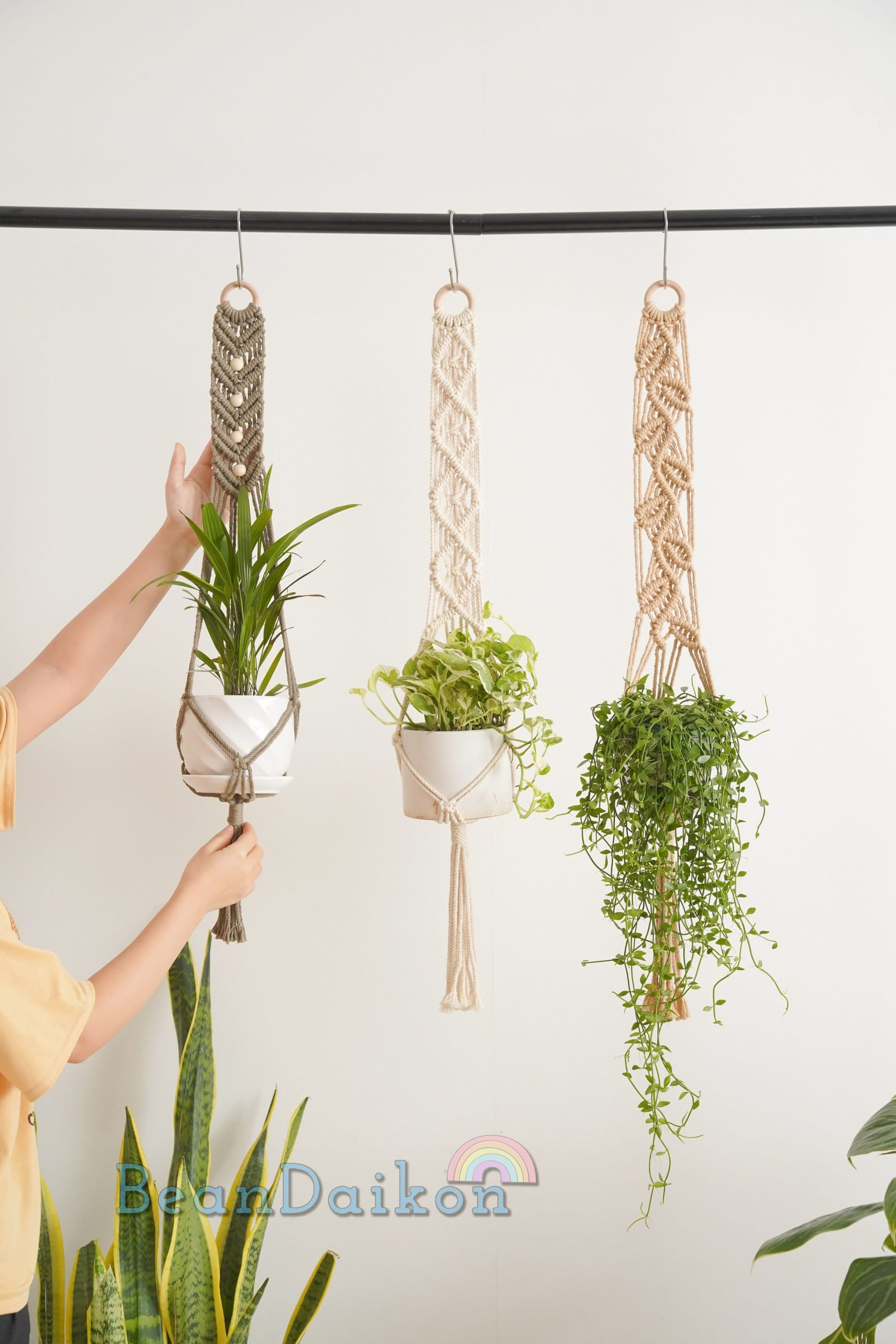  Plant Hooks & Hangers - Plant Hooks & Hangers / Plant