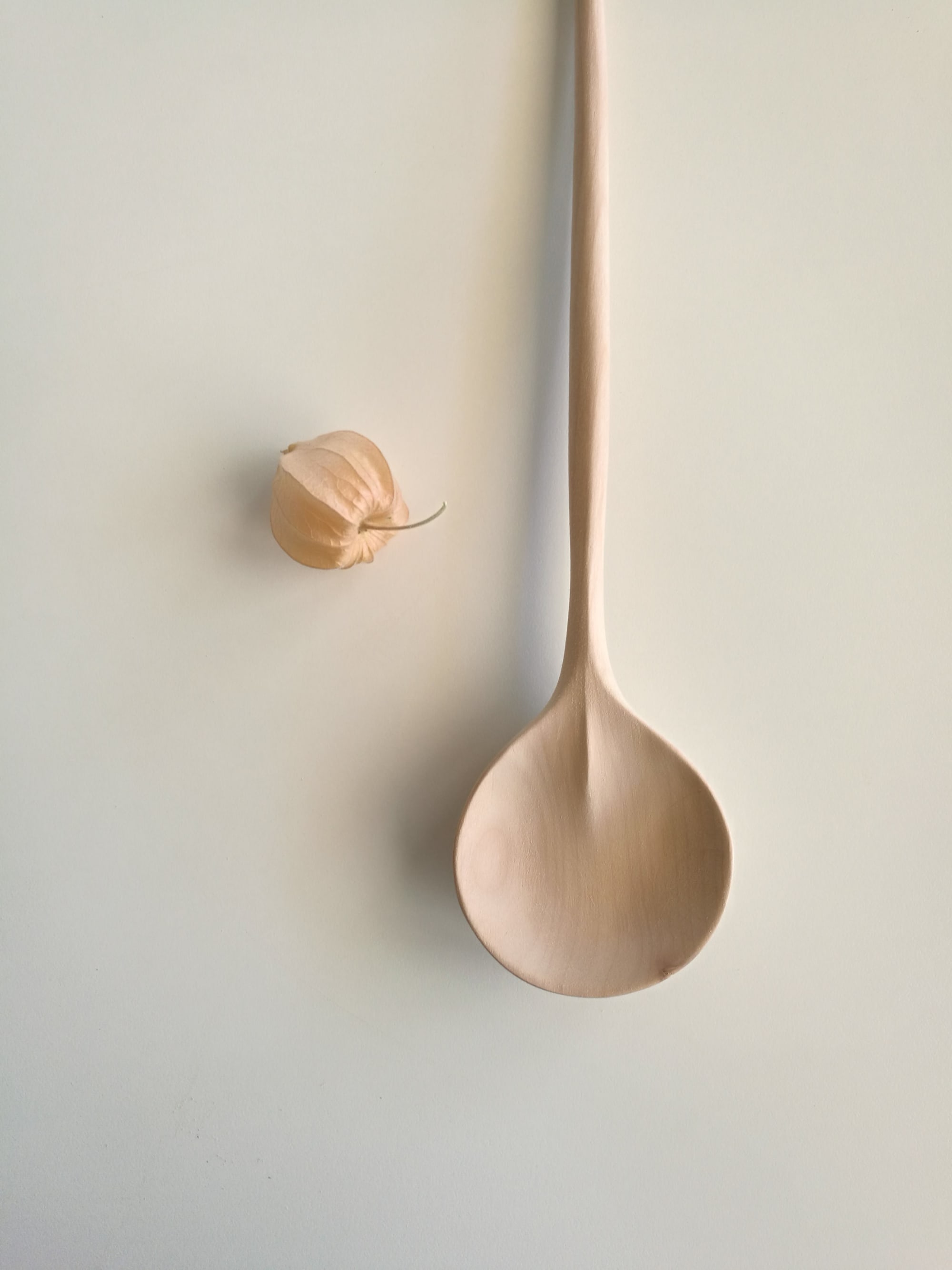 Wooden Serving Spoon with Center Spine