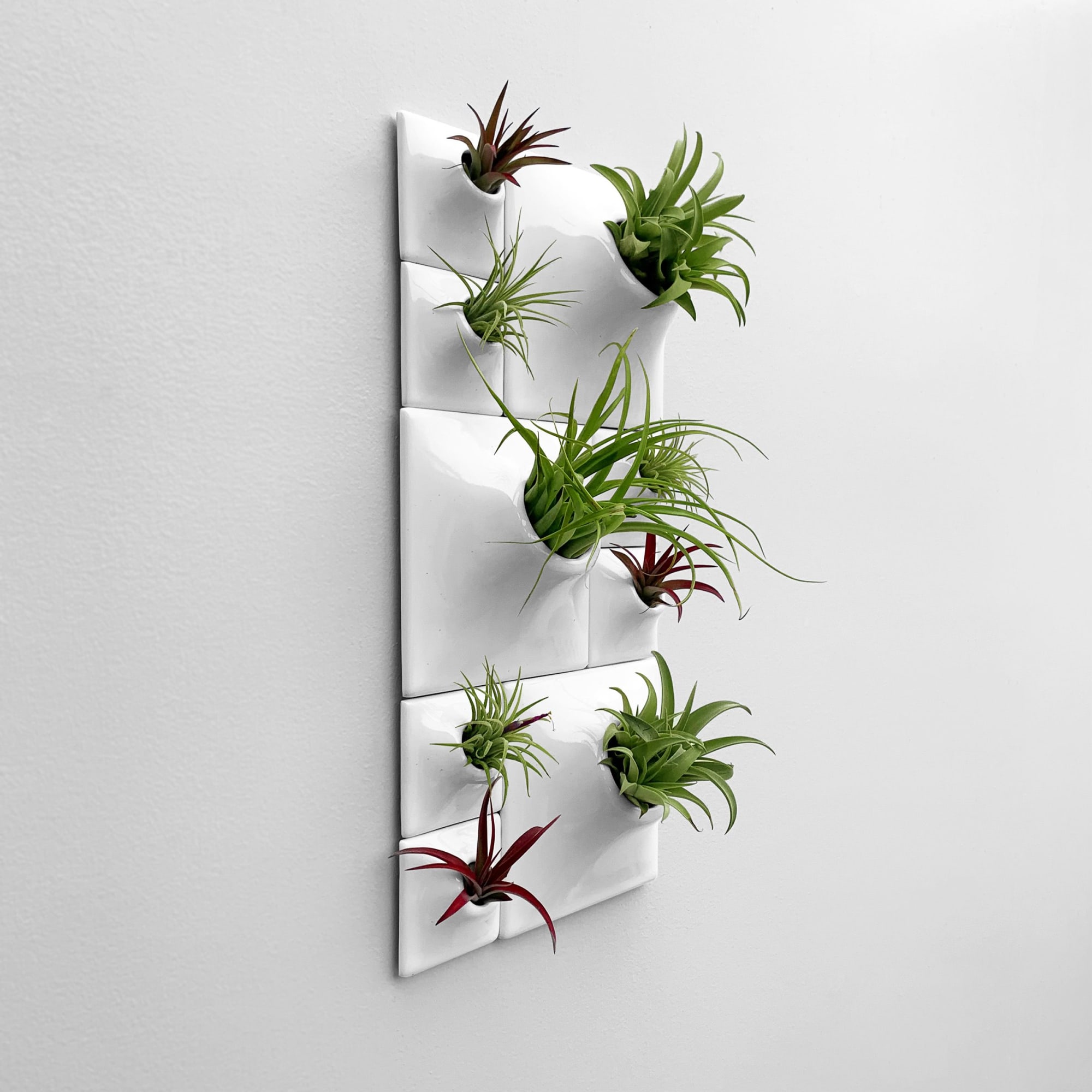 Modern White Ceramic Wall Planter Set Living Wall Art by Pandemic