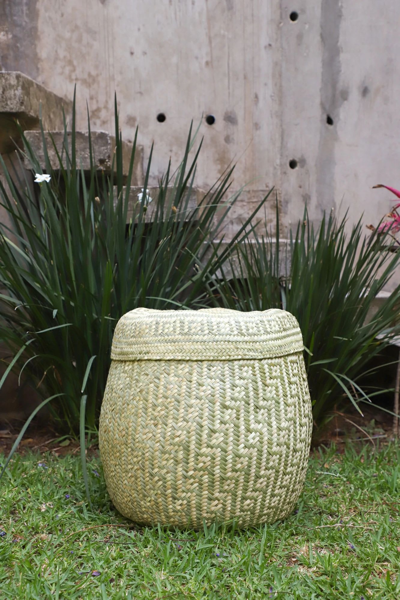 Medium Organizational Basket Handwoven in Oaxaca – Tierra y Mano