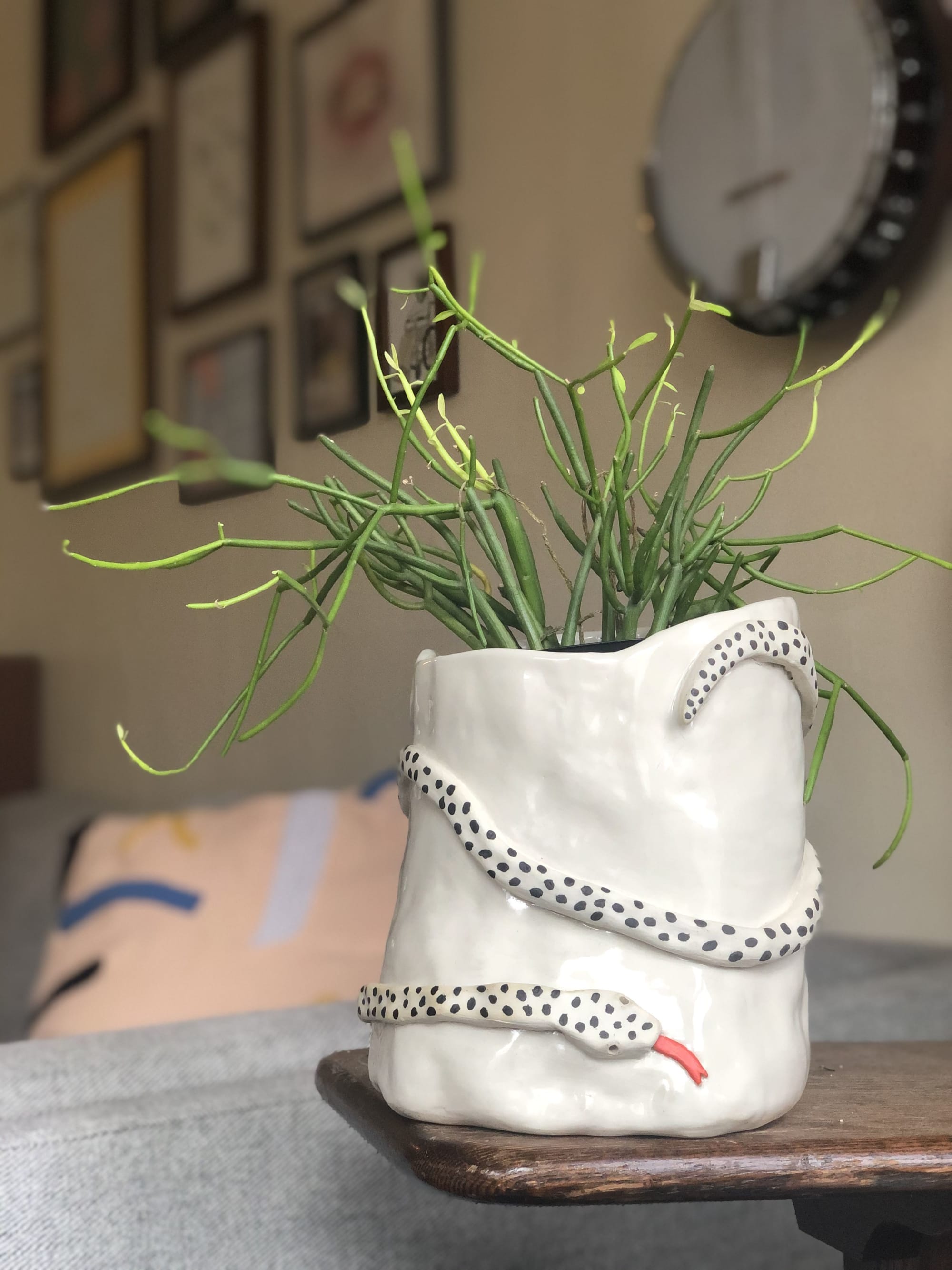 Snake planter by Jamila Goods Jess Miller Wescover Planters & Vases