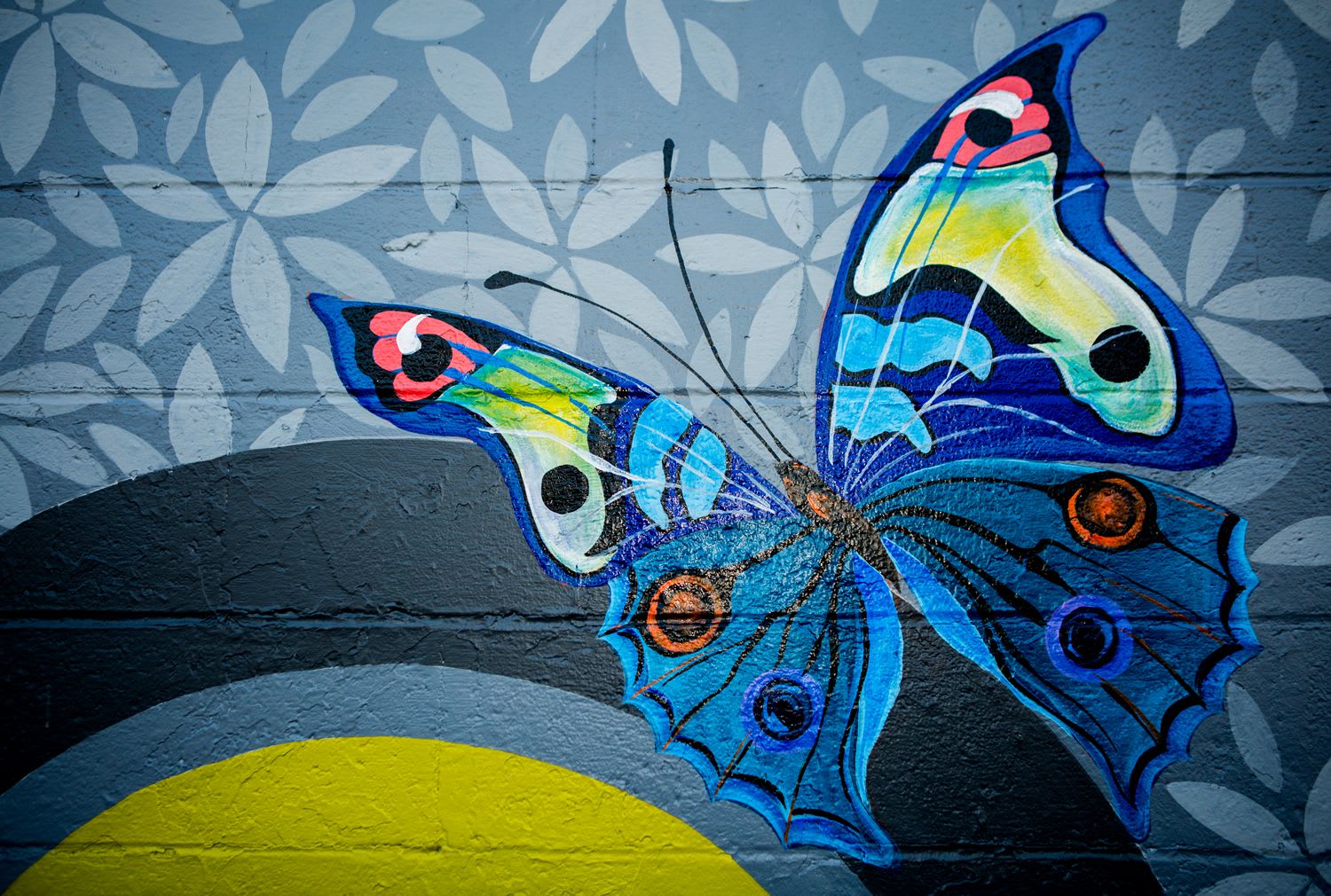Butterfly Mural Painted for First City Art CenterPensacola, Florida by