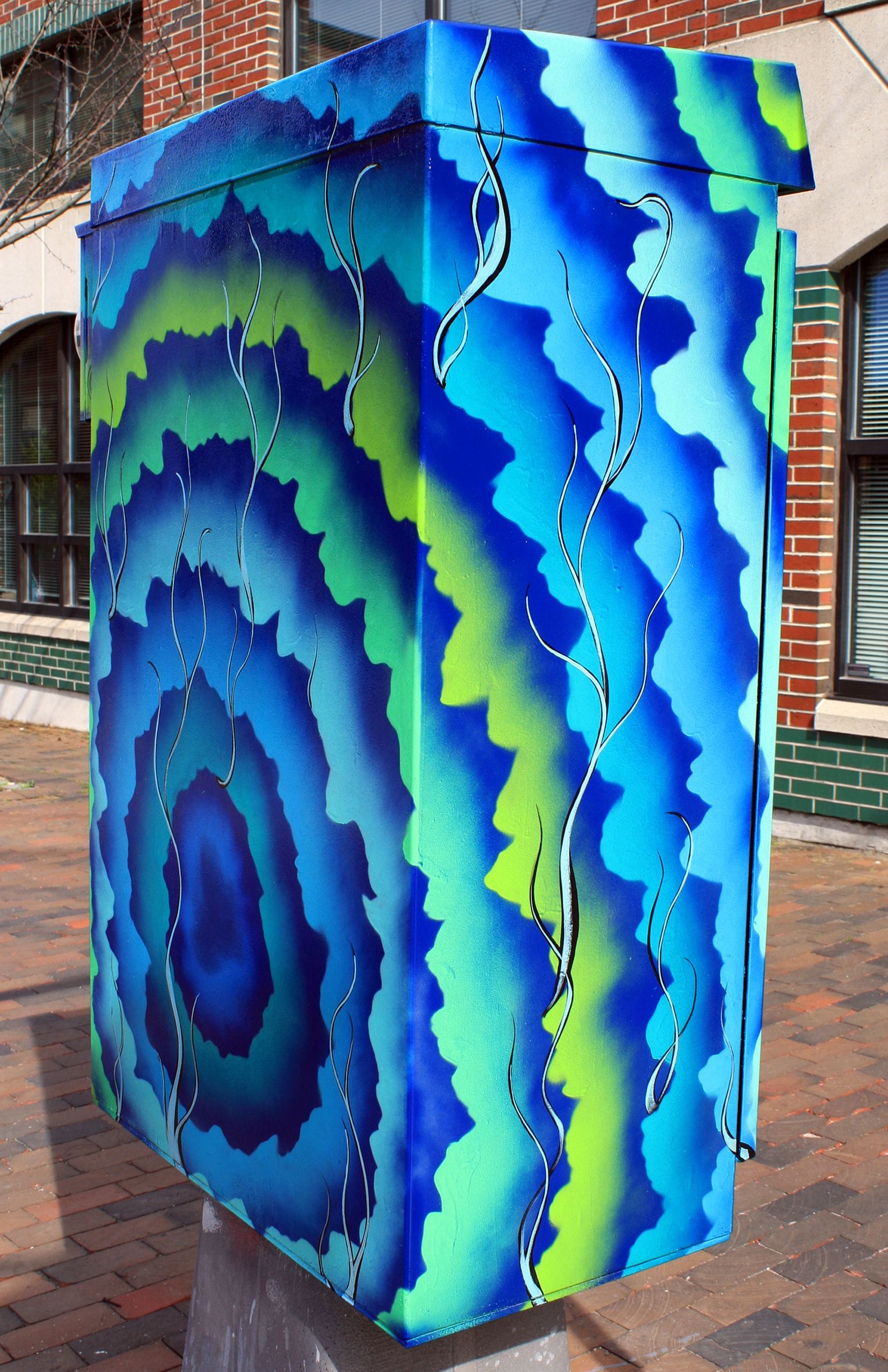 Portland Maine Utility Box exterior Murals by Jared Goulette The Color Wizard seen at Portland
