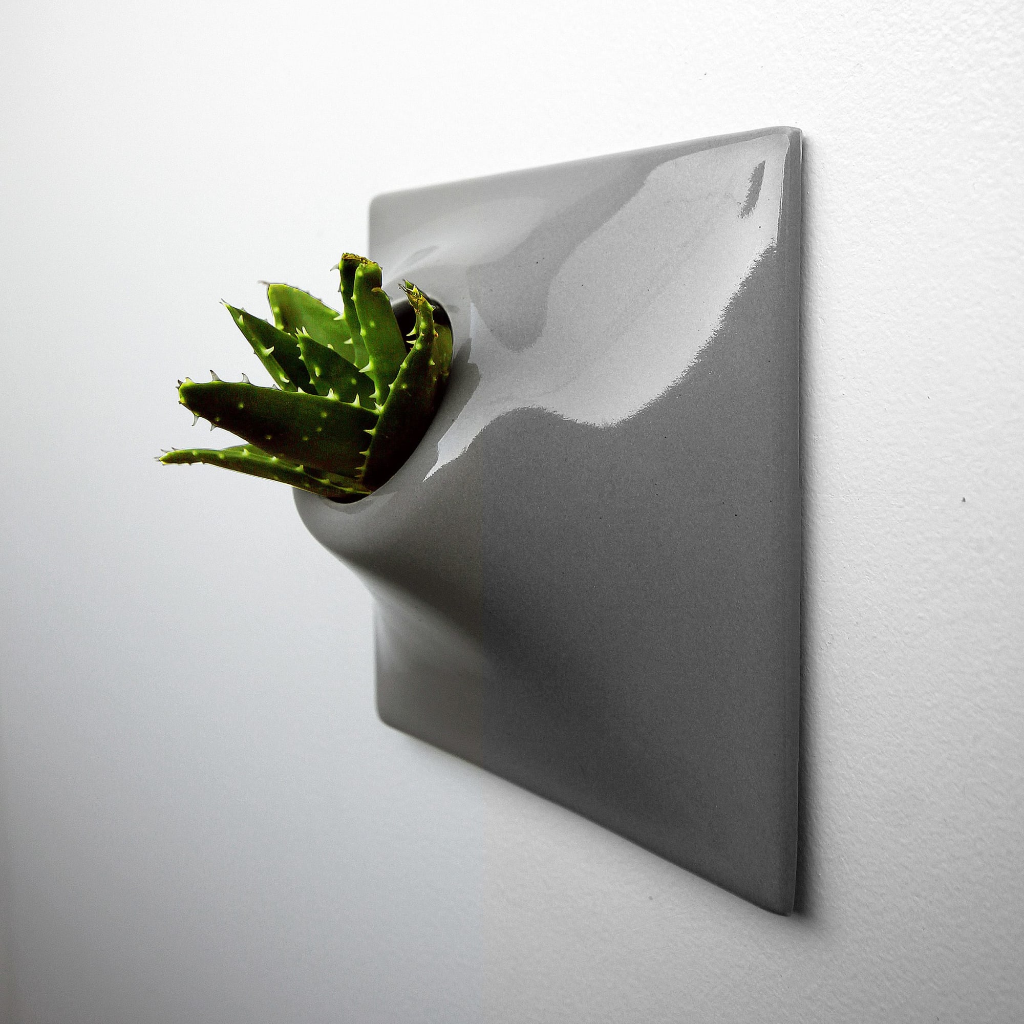 The Node Collection Pandemic Design Studio The Vignette Configuration A modular and modern ceramic wall planter system 