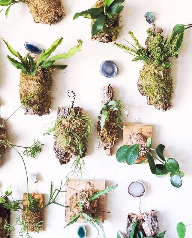 Live wall plant hangers details