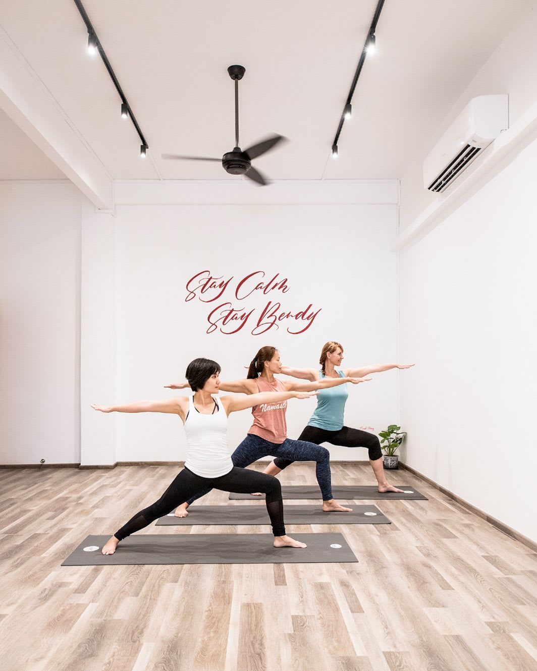 Clean and Calm Yoga Studio with a Beautiful Nature View. Interior Design  Stock Illustration - Illustration of luxury, calm: 278374159