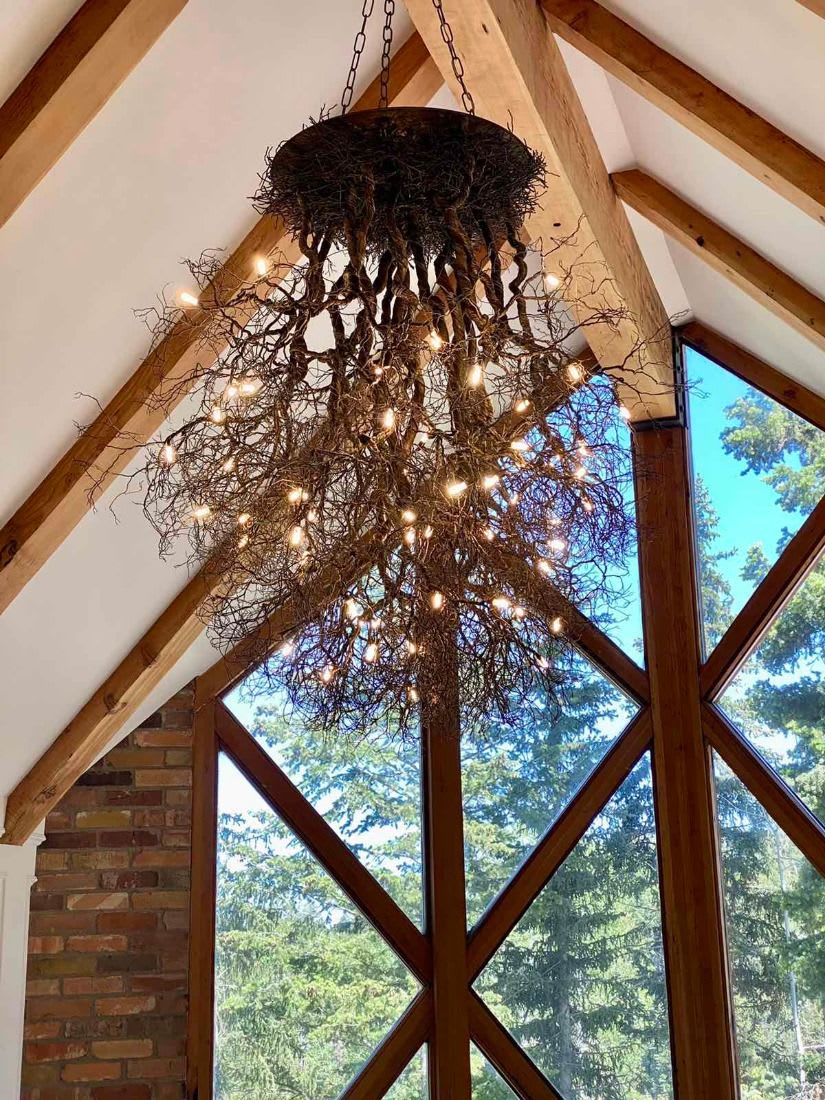 Tree deals root chandelier