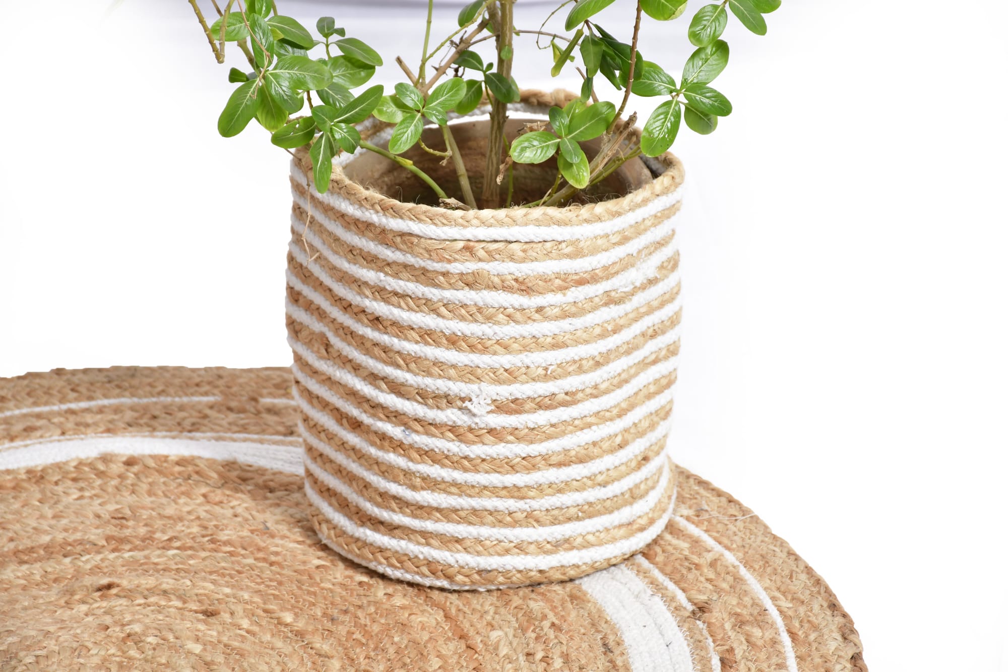 Handwoven Organic Jute Round Planters- Plant Pot (Set of 4) by