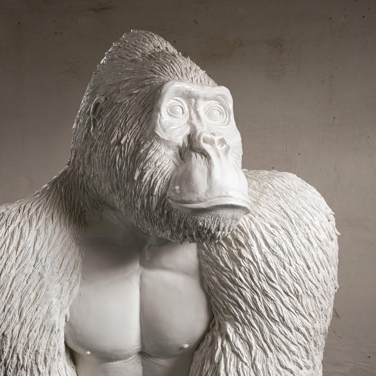 Gorilla by MARCANTONIO