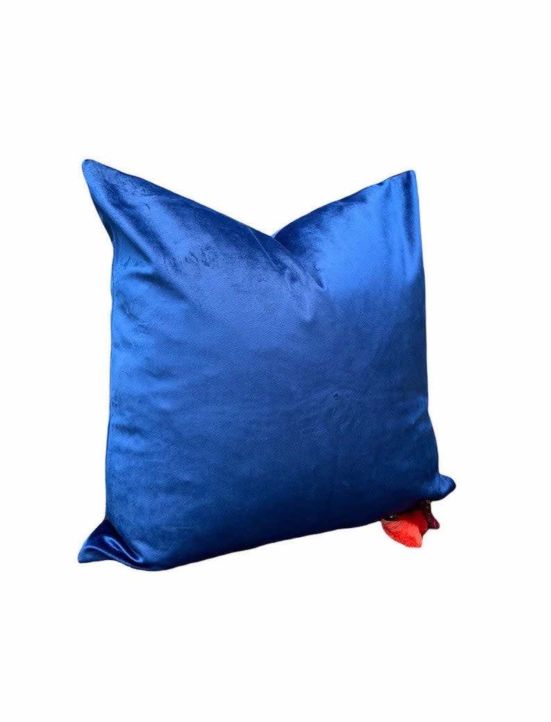 Blue best sale velvet pillows