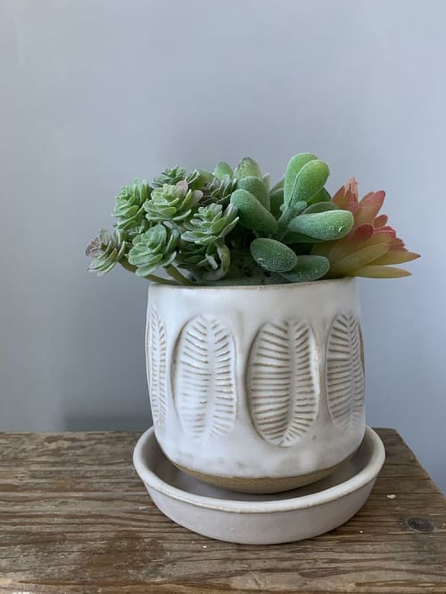 Succulent Planter | Vases & Vessels by Linda Peterson | Mud 'n Biscuits Ceramics